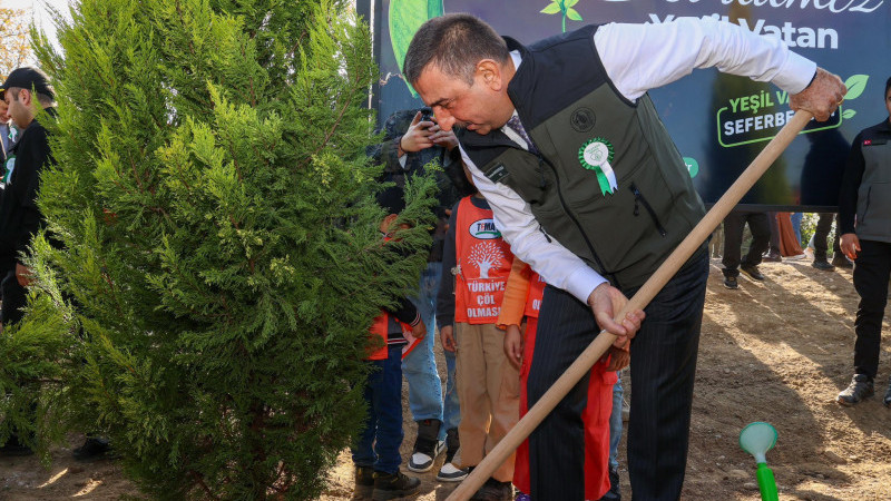 2 Bin adet fidan dikildi 