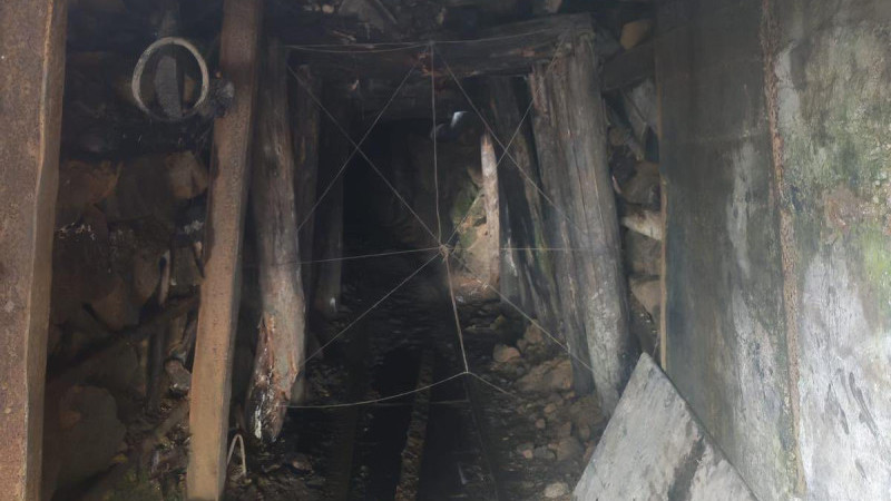 20 Ocak denetlendi, 3’ü imha edildi 